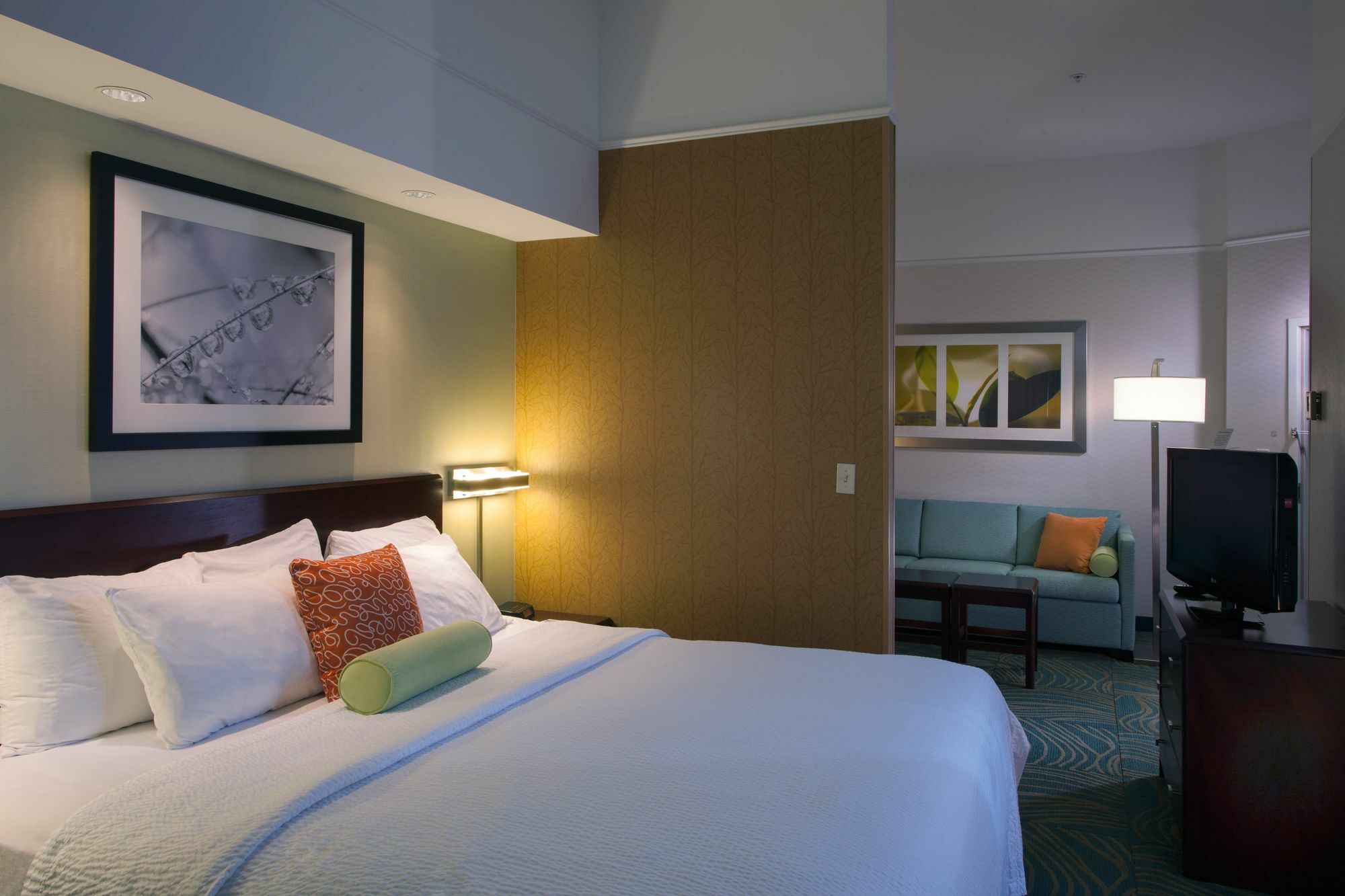 Springhill Suites Boise West/Eagle Kültér fotó